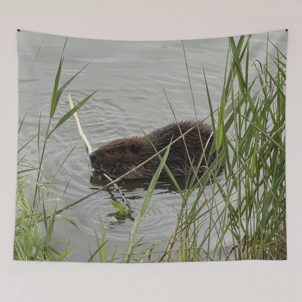 Item preview, Busy Beaver designed and sold by Alexander Krishchyunas.