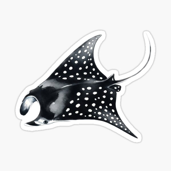 Item preview, Spotted Eagle Ray designed and sold by 4rtistcDrift.