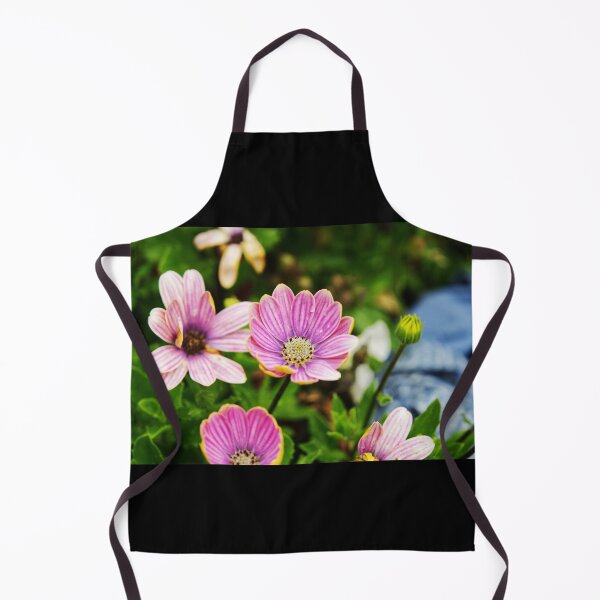 Item preview, Dimorphotheca Eckionis designed and sold by PicsByTony.