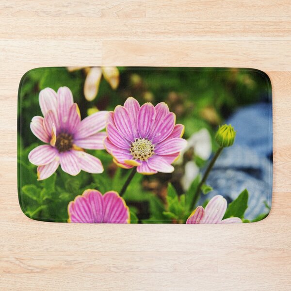Item preview, Dimorphotheca Eckionis designed and sold by PicsByTony.