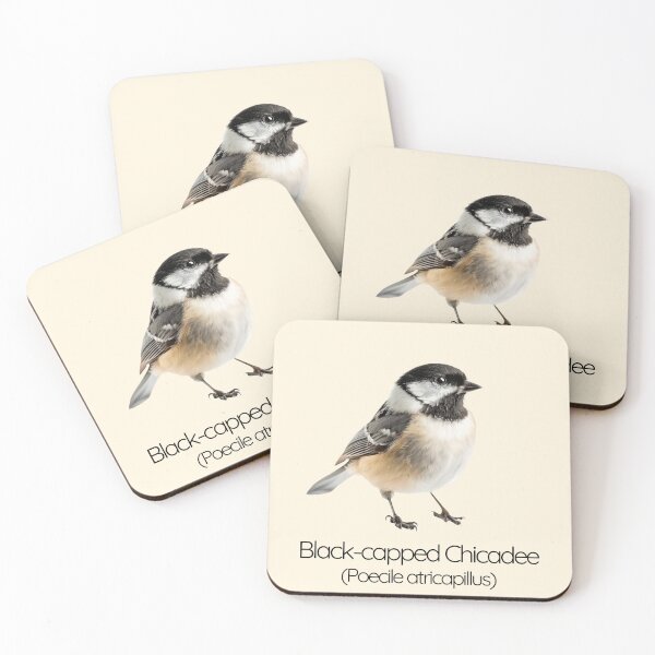 Item preview, Black-capped Chickadee | The Curious Acrobat of the Forest designed and sold by The Digital Compass.