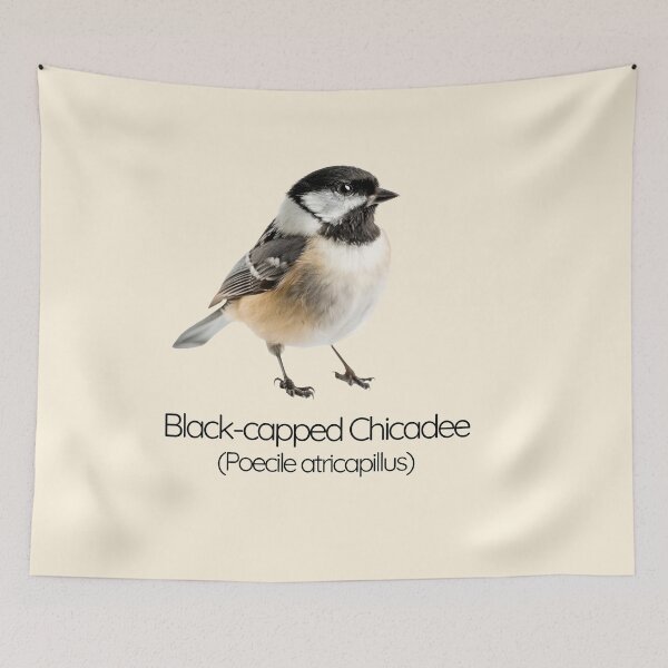 Item preview, Black-capped Chickadee | The Curious Acrobat of the Forest designed and sold by The Digital Compass.