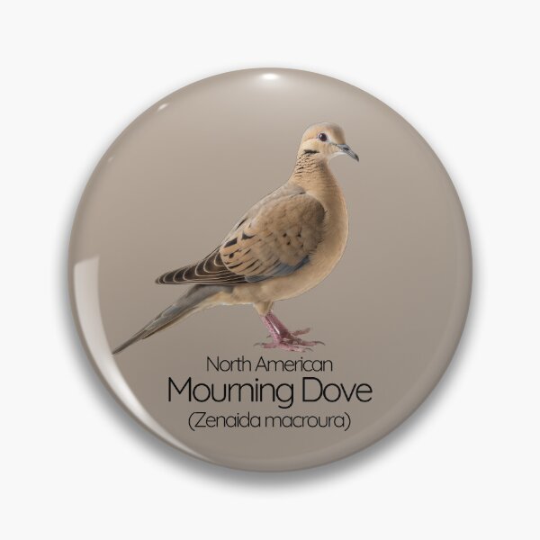 Item preview, North American Mourning Dove | The Gentle Spirit of Open Skies designed and sold by The Digital Compass.