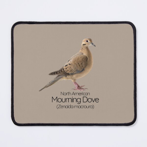 Item preview, North American Mourning Dove | The Gentle Spirit of Open Skies designed and sold by The Digital Compass.