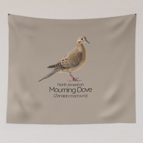 Item preview, North American Mourning Dove | The Gentle Spirit of Open Skies designed and sold by The Digital Compass.