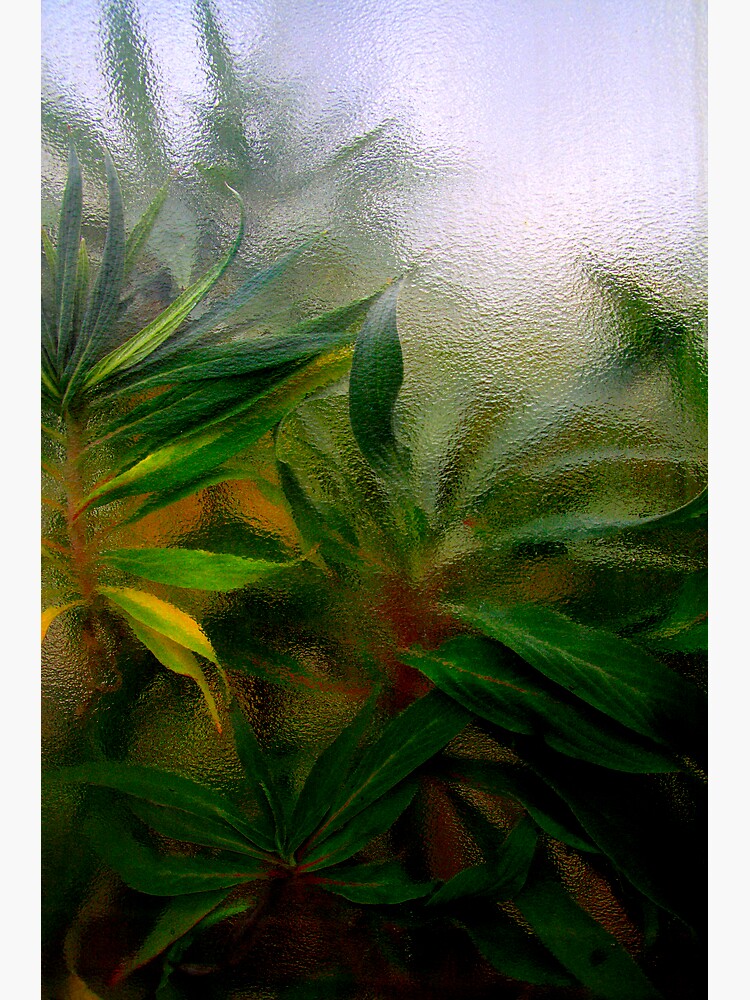 Ripples by Shuggie