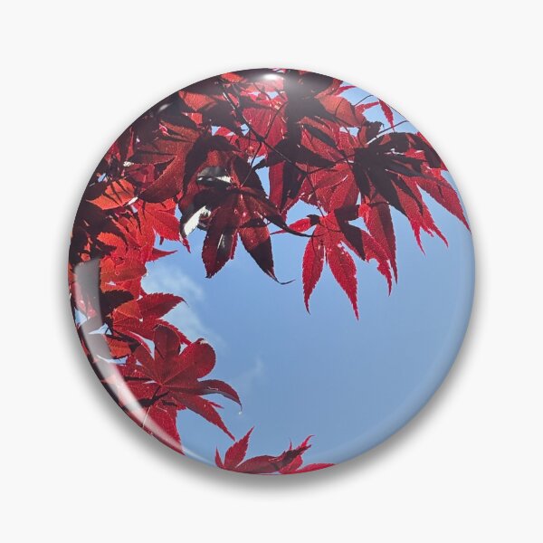 Item preview, Acer in Spring  designed and sold by Julie Paterson.