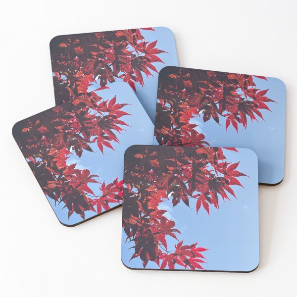 Item preview, Acer in Spring  designed and sold by Julie Paterson.