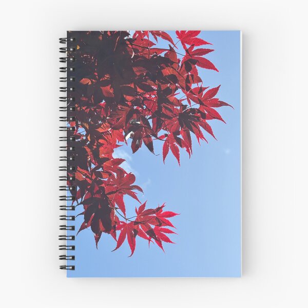 Item preview, Acer in Spring  designed and sold by Julie Paterson.