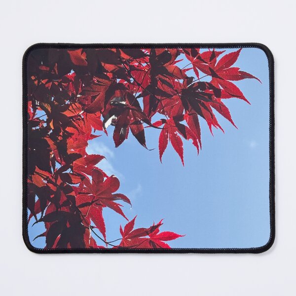 Item preview, Acer in Spring  designed and sold by Julie Paterson.