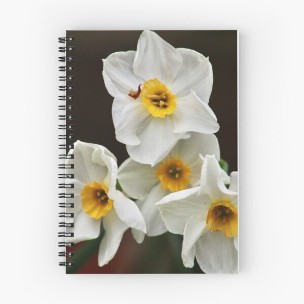 Item preview, Dramatic daffodils  designed and sold by MaggieRan26.