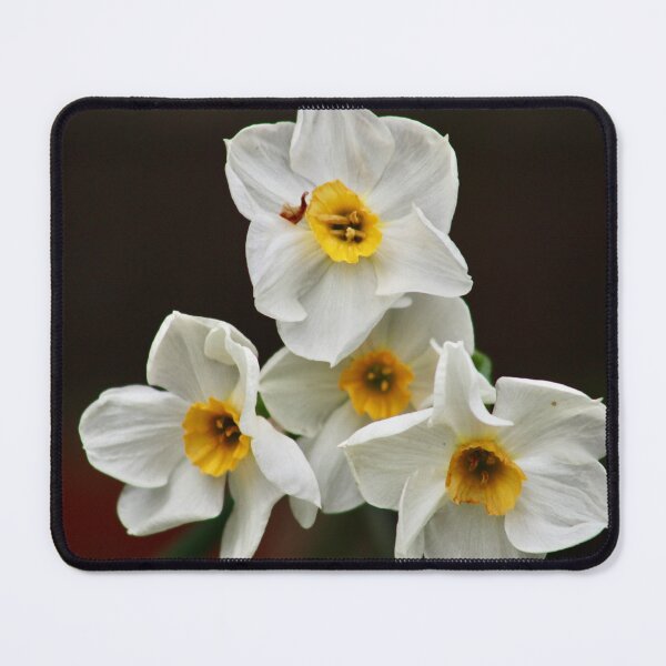 Item preview, Dramatic daffodils designed and sold by MaggieRan26.