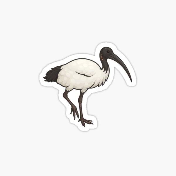 Item preview, Funny Aussie Bin Chicken Ibis designed and sold by LeoDaVinki.