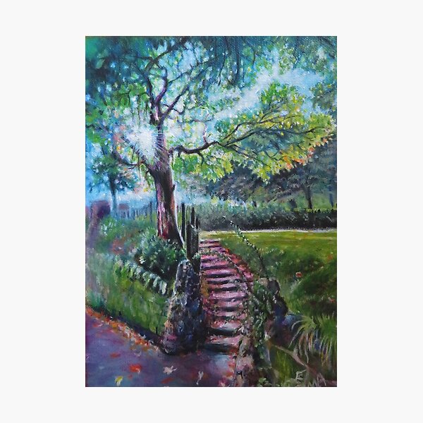 Item preview, Leaf Strewn Steps - Victoria Park, St Helens designed and sold by LittleLiz.