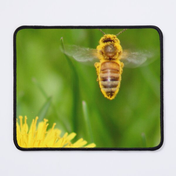 Item preview, Bee Glow designed and sold by MaggieRan26.