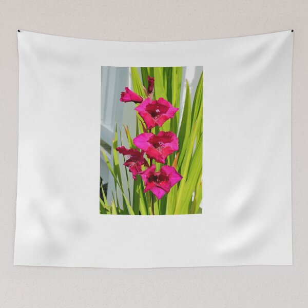 Item preview, Gladioli designed and sold by Frank  Irwin.