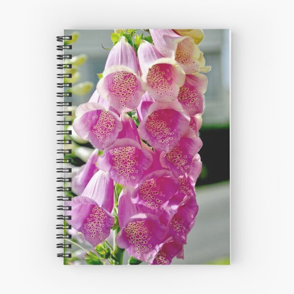 Item preview, The common ‘foxglove’ designed and sold by Frank  Irwin.
