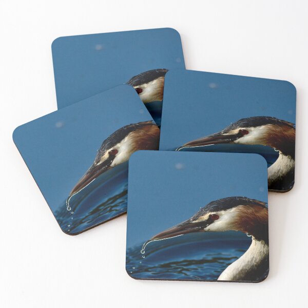 Item preview, Great Creasted Grebe Fishing designed and sold by GBM86.