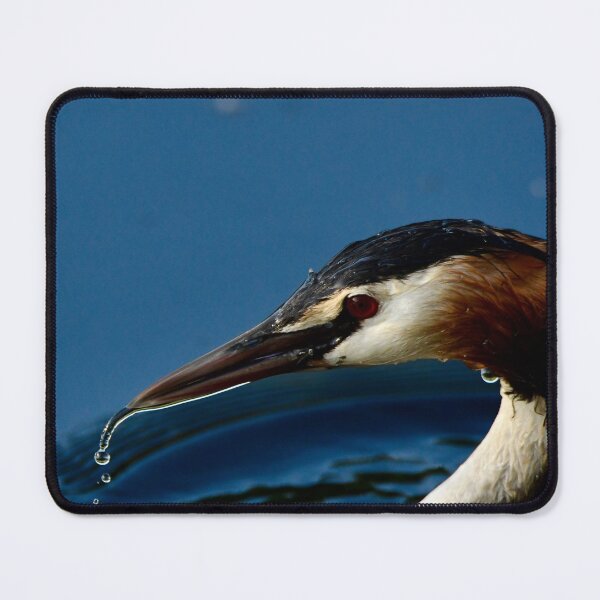 Item preview, Great Creasted Grebe Fishing designed and sold by GBM86.