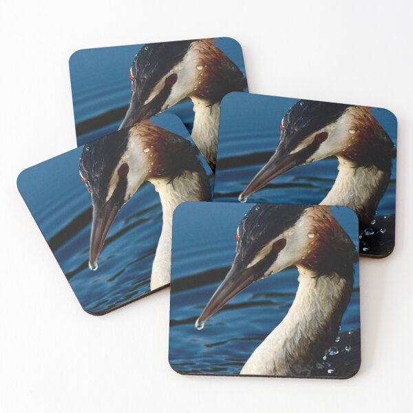 Item preview, Wet Grebe  designed and sold by GBM86.