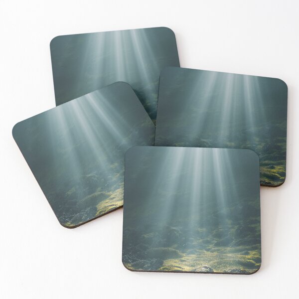Item preview, Mystical Forest: Sunlit Mossy Depths designed and sold by ShadowAndSlate.