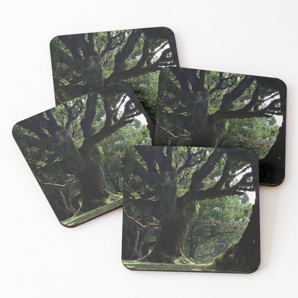 Item preview, Ancient Tree designed and sold by SLOTH-SQUAD.