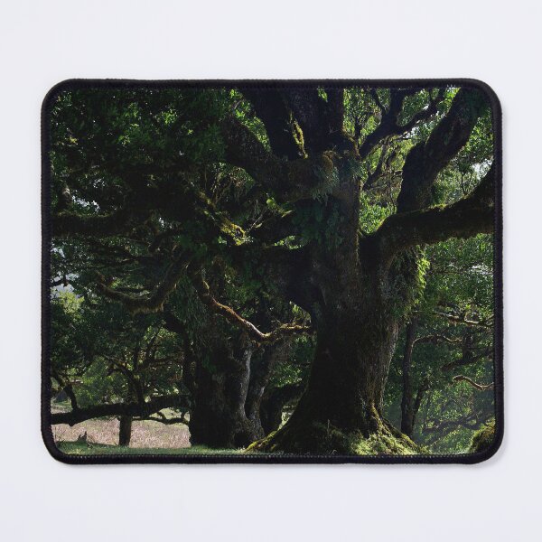 Item preview, Ancient Tree designed and sold by SLOTH-SQUAD.