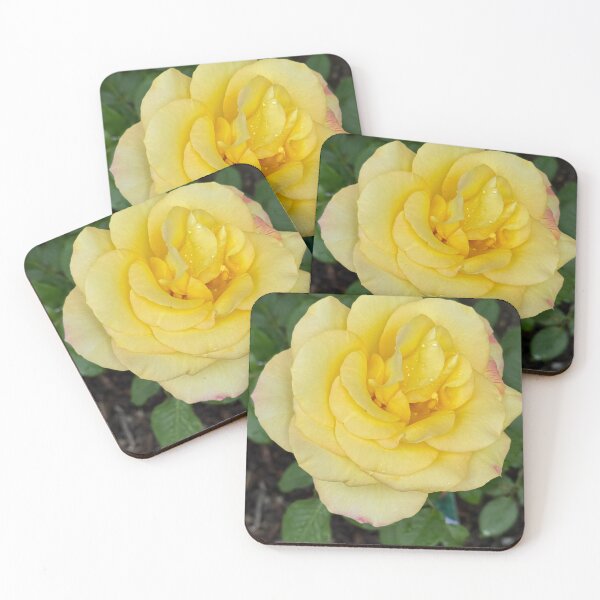 Item preview, One Yellow Rose designed and sold by 66momenta.