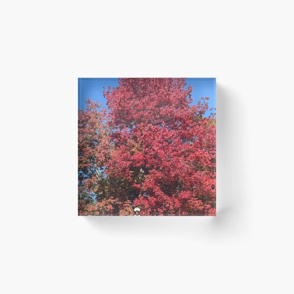 Item preview, Autumn Red designed and sold by 66momenta.