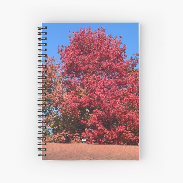 Item preview, Autumn Red designed and sold by 66momenta.