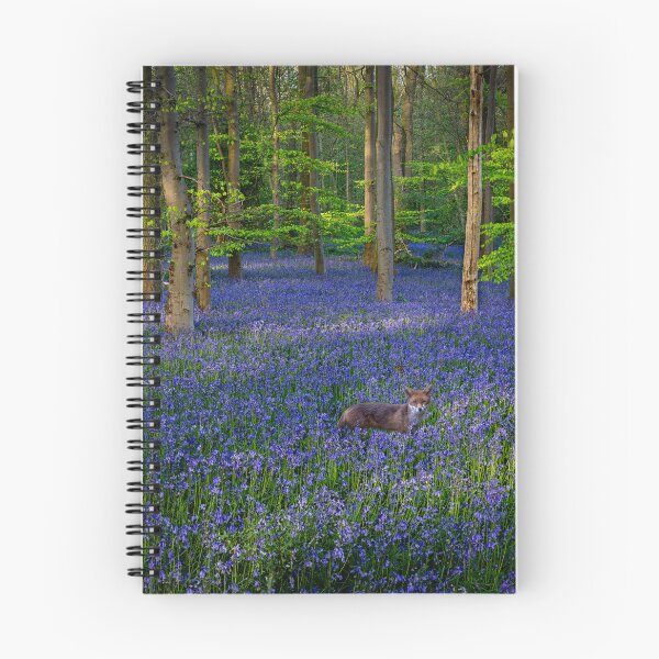 Item preview, Red Fox in a Bluebells Woodland designed and sold by Incakola1.