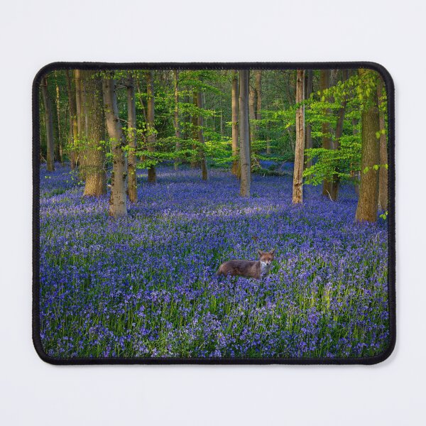 Item preview, Red Fox in a Bluebells Woodland designed and sold by Incakola1.