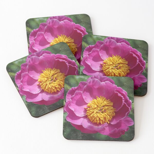 Item preview, Chinese Peony With Textured Background designed and sold by BostonArcImage.