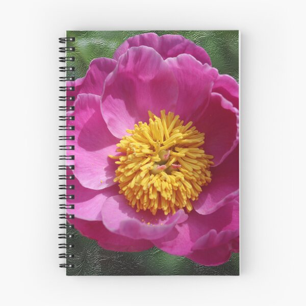 Item preview, Chinese Peony With Textured Background designed and sold by BostonArcImage.