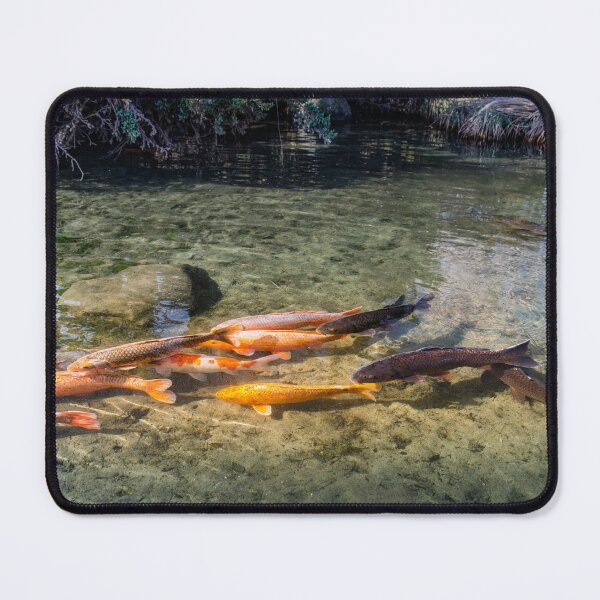 Item preview, Koi Fish in Waterwheel Pond at Hokuto Waterwheel Village Park, Yamanashi Japan designed and sold by Pix4Japan.