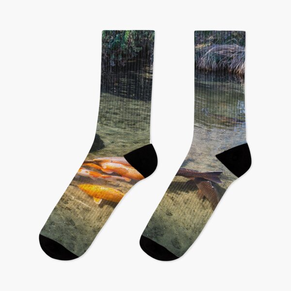 Item preview, Koi Fish in Waterwheel Pond at Hokuto Waterwheel Village Park, Yamanashi Japan designed and sold by Pix4Japan.
