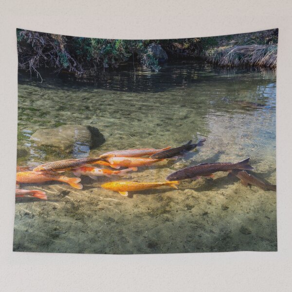 Item preview, Koi Fish in Waterwheel Pond at Hokuto Waterwheel Village Park, Yamanashi Japan designed and sold by Pix4Japan.
