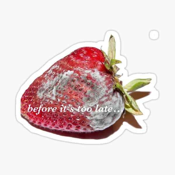 Aperçu de l'œuvre Fraise pourrie créée et vendue par LexiRisk.
