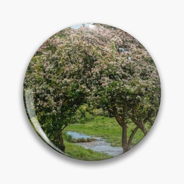 Item preview, trees along the river Bain designed and sold by EcDigitalPhoto.