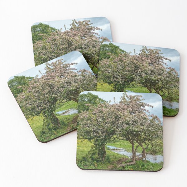 Item preview, trees along the river Bain designed and sold by EcDigitalPhoto.