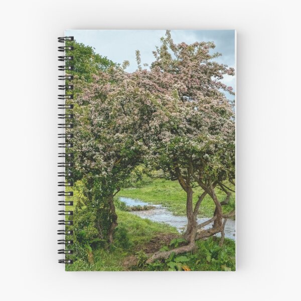 Item preview, trees along the river Bain designed and sold by EcDigitalPhoto.