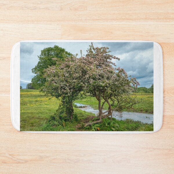 Item preview, trees along the river Bain designed and sold by EcDigitalPhoto.