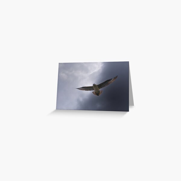 Item preview, Bonxie designed and sold by Richard Ion.
