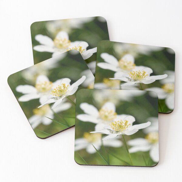 Item preview, Windflowers. Wood anemone designed and sold by Jouko Lehto Photography.