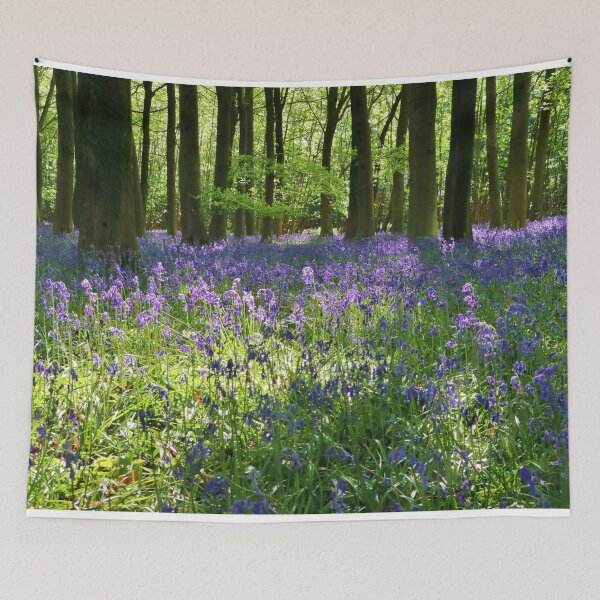 Aperçu de l'œuvre Forêt de jacinthes des bois de Cotswold créée et vendue par Susan Snow Photography and Design.