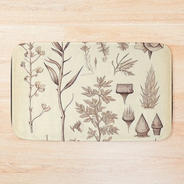 Item preview, Botanical Study: Vintage Plant Sketches Collection designed and sold by ShadowAndSlate.
