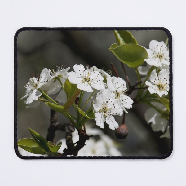Item preview, Smelly Blooms designed and sold by Tim Dusenberry.