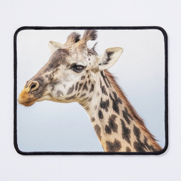 Item preview, Masai Giraffe Kenya 2 designed and sold by PhotoArt by Joan Carroll.