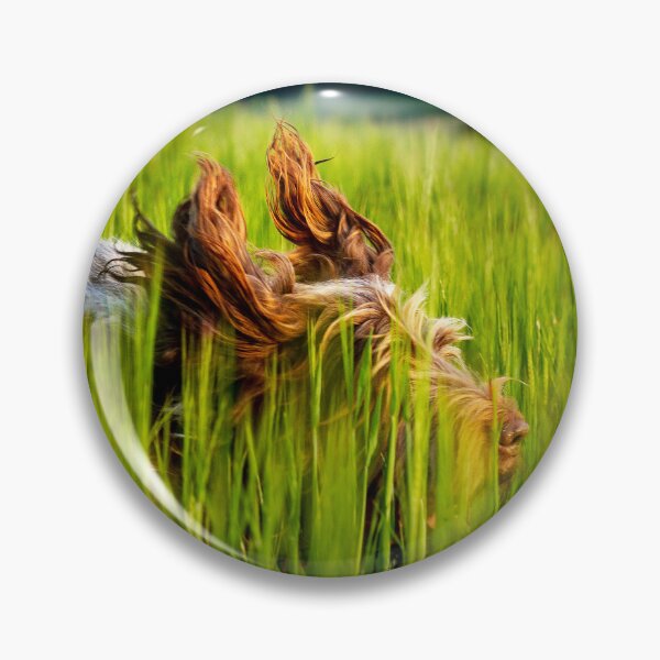Item preview, Flight of the Spinone by heidiannemorris © designed and sold by FOLK ART FUSION by heidiannemorris.