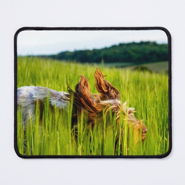 Item preview, Flight of the Spinone by heidiannemorris © designed and sold by FOLK ART FUSION by heidiannemorris.